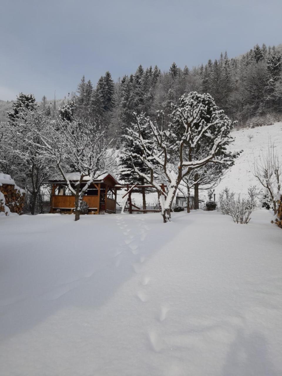 Villa Rekreacny Domcek Judka Dedinky Exterior foto